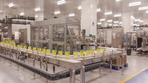 聯(lián)合利華廣州食品工廠投產(chǎn) 技術(shù)驅(qū)動(dòng)全品類食品智能制造新標(biāo)桿